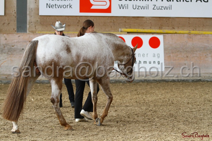 24-ApHC HIH_004.jpg